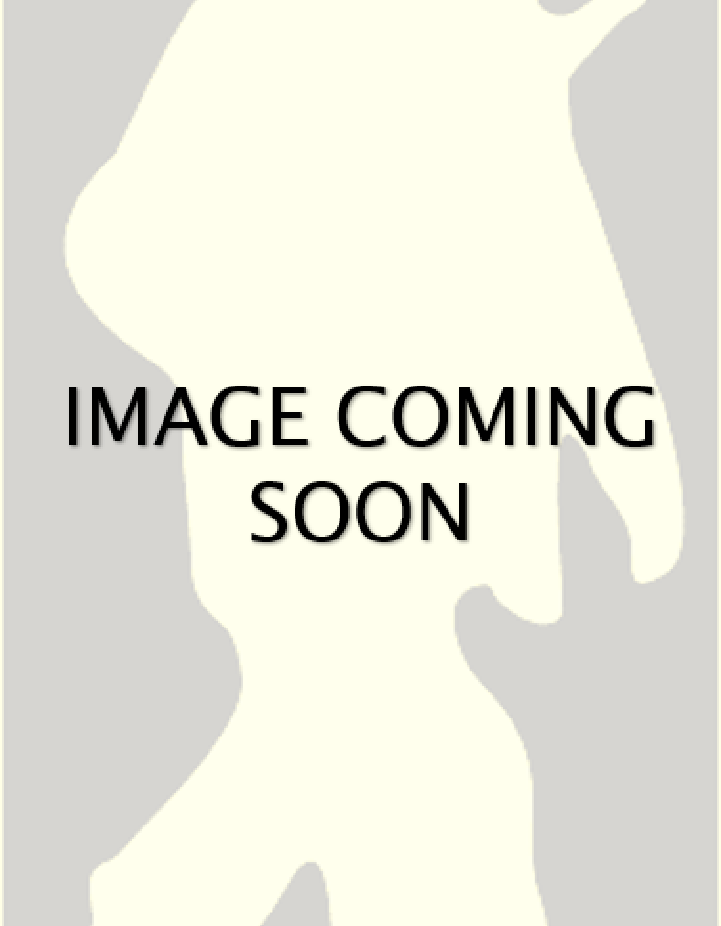 BLACK HOT ARMED INSURGENT Passive Thermal Target